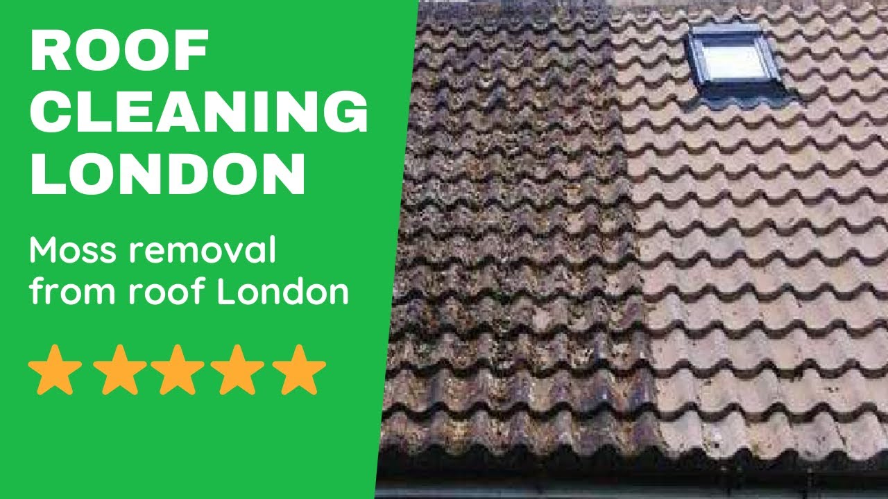 Roof Cleaning & Coating - Image 1