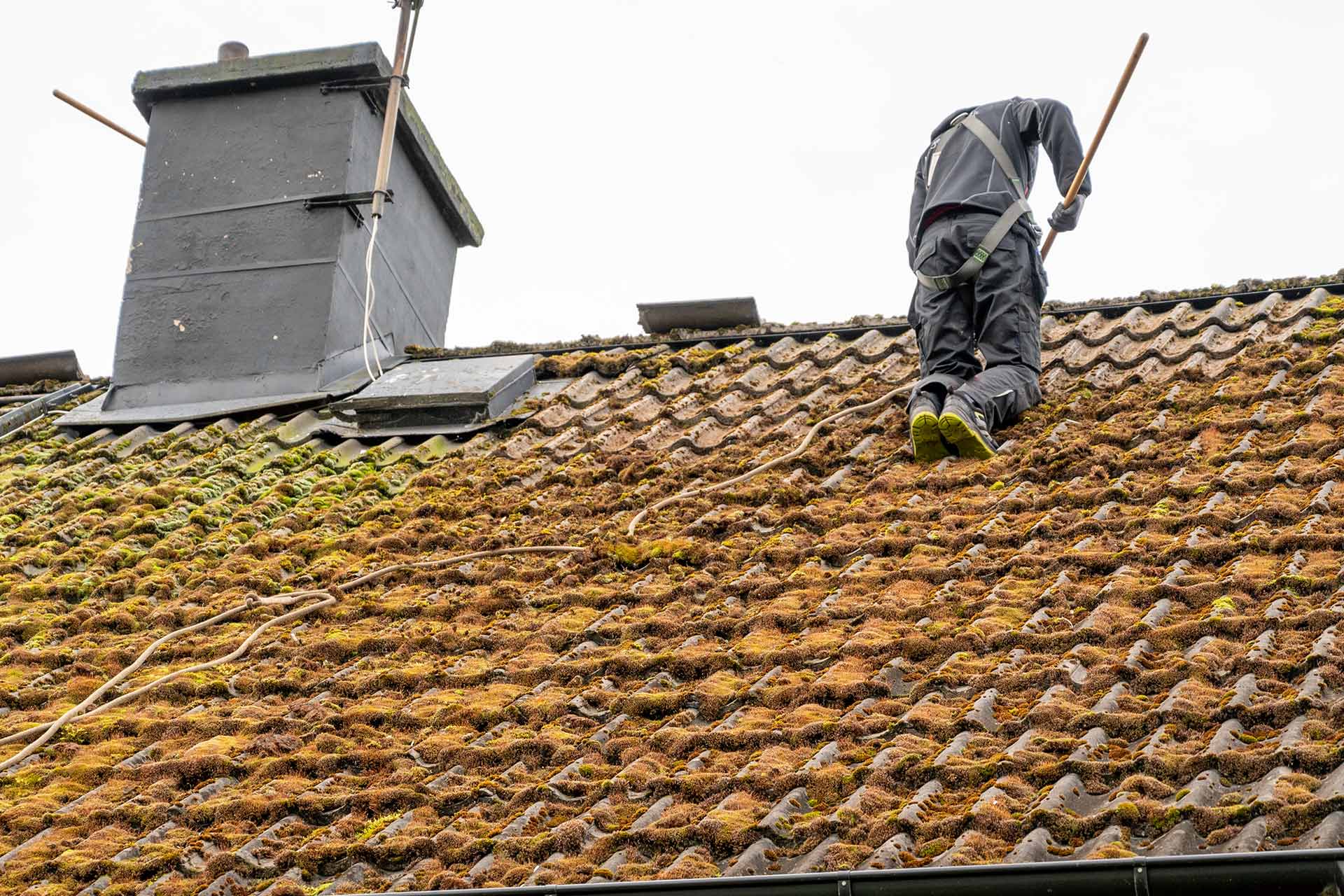 Roof Cleaning & Coating - Image 6